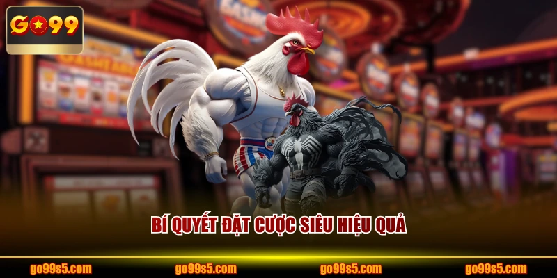 Bí quyết đặt cược siêu hiệu quả