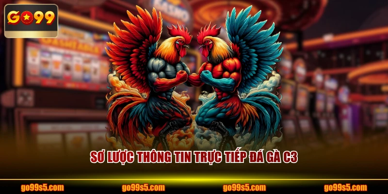 Sơ lược thông tin trực tiếp đá gà C3
