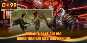 Trực Tiếp Đá Gà Cựa Dao