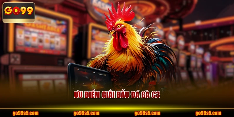 Ưu điểm giải đấu đá gà C3